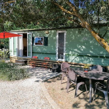Bungalow Chez Gilly Boisset-et-Gaujac 외부 사진